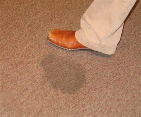 How to Remove Old Stains from Carpet - A Blog to Home