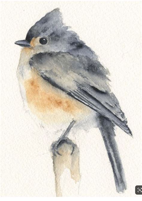 Watercolor Pencil Art, Bird Watercolor Paintings, Watercolor Paintings ...