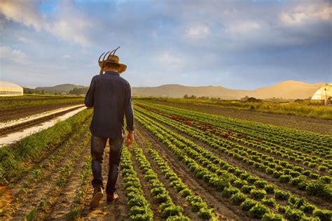 Mercado de capitais se torna aliado do agronegócio — CompreRural