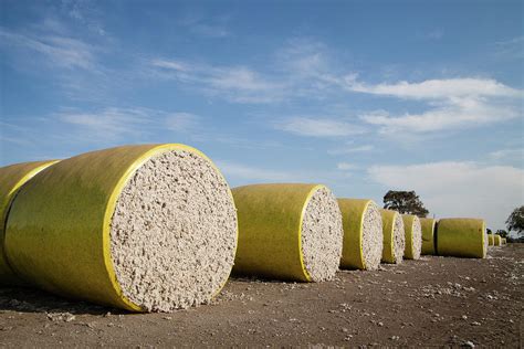 Cotton Bales in the Mississippi Delta Photograph by David Wolanski - Pixels