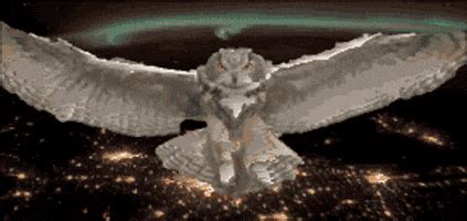 Flying Owl GIFs - Find & Share on GIPHY