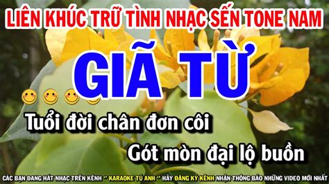 Karaoke Liên Khúc Trữ Tình Nhạc Sến Tone Nam | Giã Từ - Trách Ai Vô Tình - mp3-vn.com