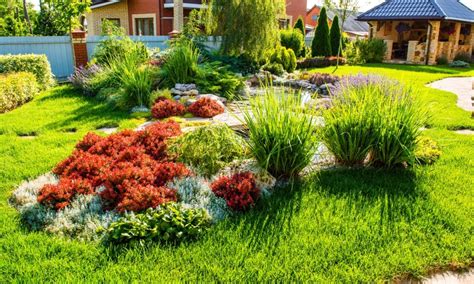 Landscape Irrigation Systems: The Basics