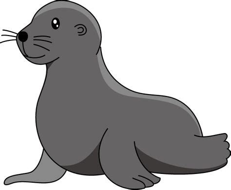 18 Seal sea lion ideas | sea lion, sea, lion