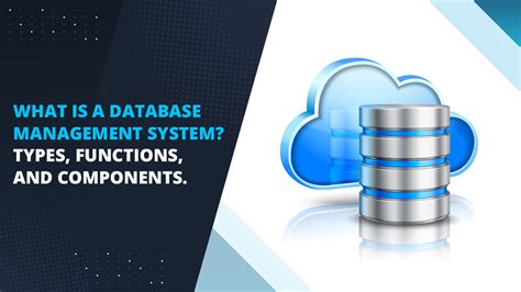 What is a Database management system? Types, Functions, and Components