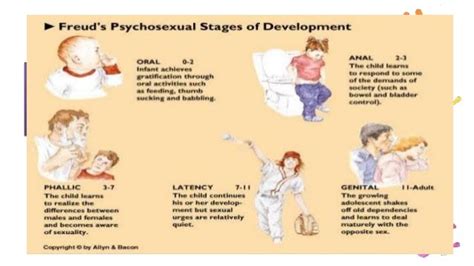 Freud Theory Of Development