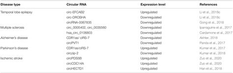 Frontiers | Insights Into the Role of CircRNAs: Biogenesis, Characterization, Functional, and ...