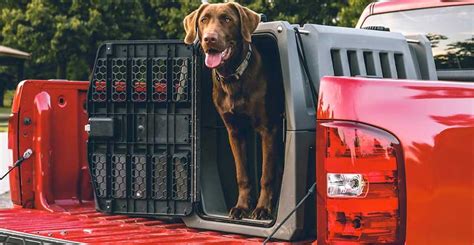 Truck Beds & Dogs - What You Should Know | DualLiner Truck Bed Liner ...
