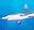 Daggernose shark - Wikipedia