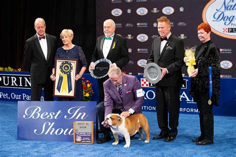 What Does Best Of Winners Mean In A Dog Show