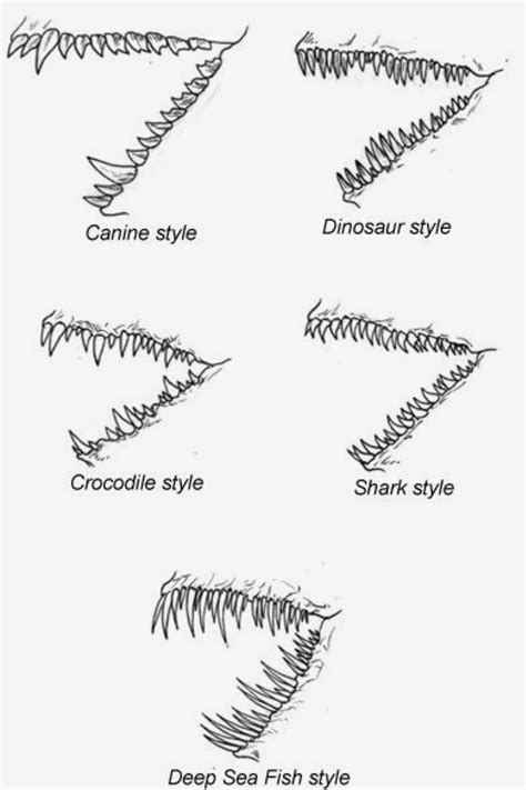 Animal mouth drawing | Dragon sketch, Sketches, Drawings