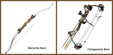 Recurve vs Compound Bows for Deer Hunting