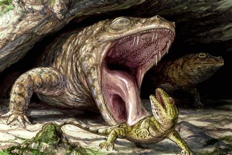 Pin by Maz Dave on pre-historic times | Prehistoric animals, Prehistoric, Amphibians