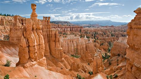 Hoodoos - Bryce Canyon National Park - 1920x1080