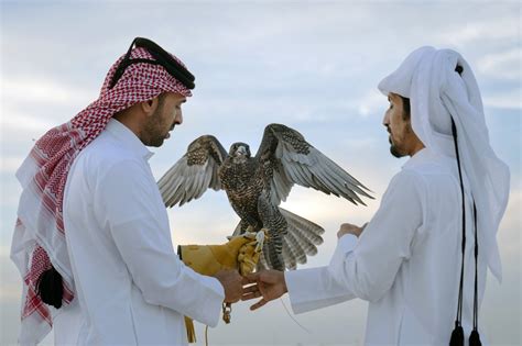 Ancient sport of falconry gets some upgrades in Qatar - The Japan Times