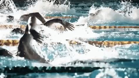 Olympics Swimming GIF - Olympics Swimming - Discover & Share GIFs