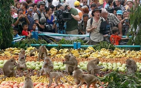 Monkey Buffet Festival - Alchetron, The Free Social Encyclopedia