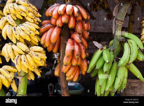 Yellow, pink, green bananas in a market stall Kerala, India Stock Photo - Alamy