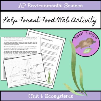 AP Environmental Science Kelp Forest Food Web Activity by Pastel Platypus