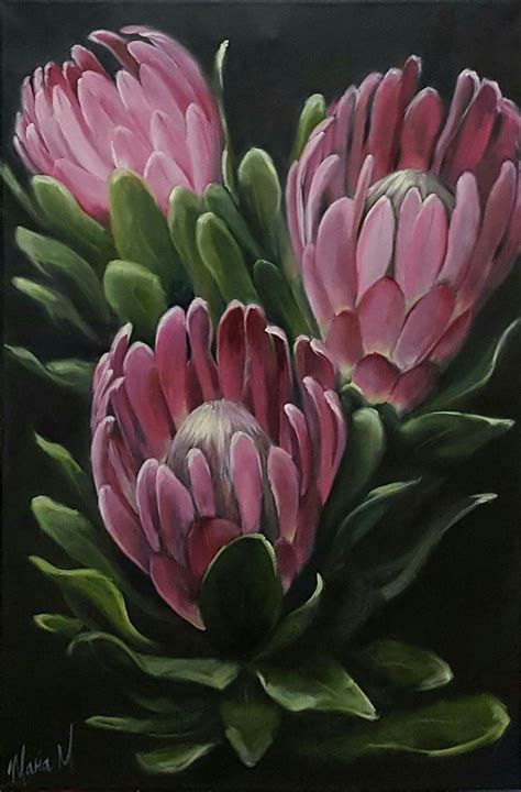 PROTEA LOVE•] | Flower art painting, Protea art, Flower painting