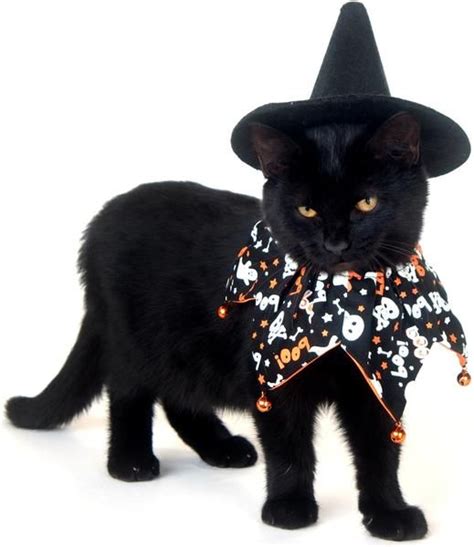 black cat meme cat costumes Pet Halloween Costumes, Dog Costumes, Dog ...