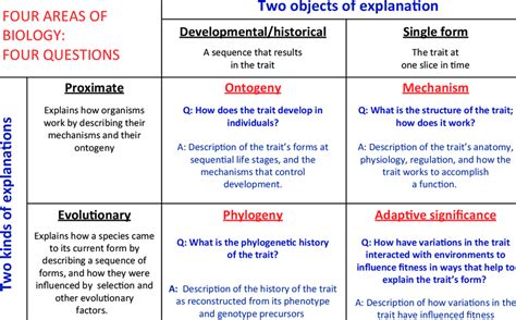 Tinbergen's four questions, organized. | Download Table