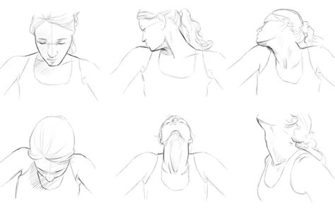 Neck Drawing Reference and Sketches for Artists