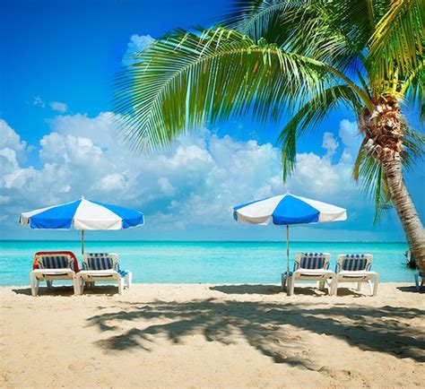 Caribbean Beach Backdrop Tropical Palm Backdrop Background | Etsy