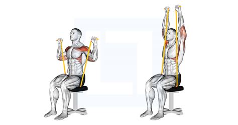 Resistance Band Seated Shoulder Press - Guide, Benefits, and Form