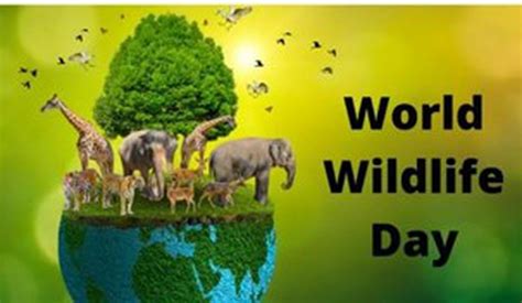 World Wildlife Day is celebrated every year on March 3 to raise awareness about the importance ...