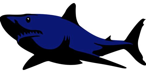 Free vector graphic: Shark, Fish, Animal, Swim, Danger - Free Image on Pixabay - 305513