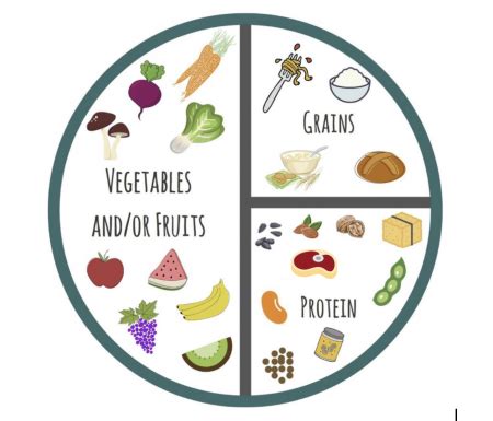 plate method | Whole Family Health