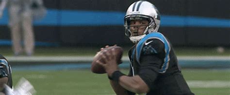 carolina panthers gifs | WiffleGif