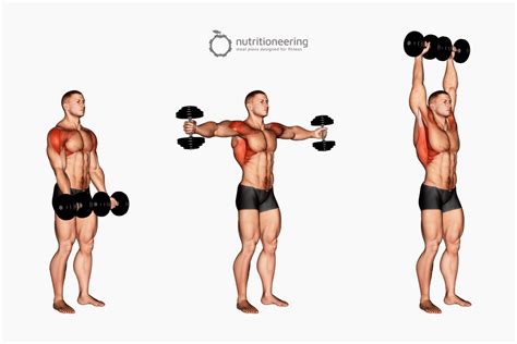 Lateral Deltoid Exercises - Standing Around The Worlds Deltoid Workout ...