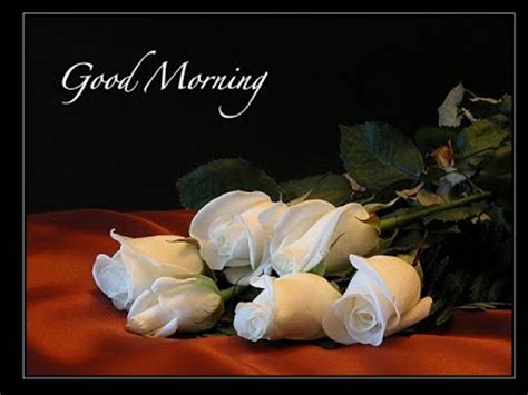 Beautiful White Roses-Good Morning - Good Morning Wishes & Images