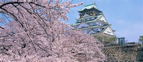 Exclusive Travel Tips for Your Destination Osaka in Japan