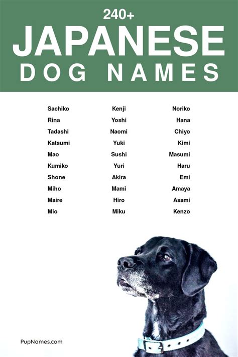 240+ Japanese Dog Names with Meanings | Nombres para mascotas, Nombres de perros, Nombres para ...