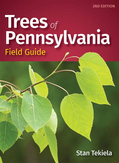 Trees of Pennsylvania Field Guide - AdventureKEEN Shop