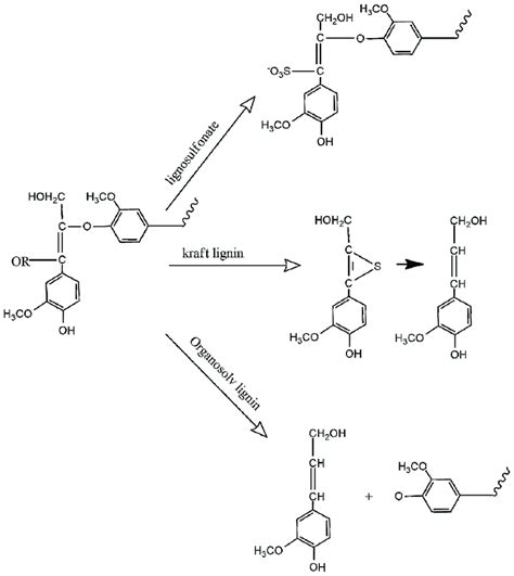 Scheme 1. Main lignin extraction processes revised in this review ...