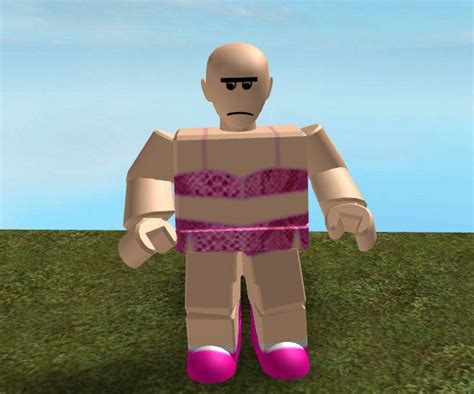 The Best 28 Flamingo Memes Roblox - glisknewall