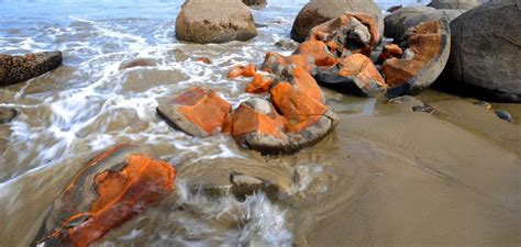 Study sheds light on origin of Moeraki boulders | Otago Daily Times Online News