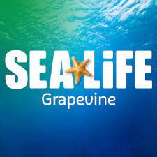 Definitive Guide To SEA LIFE Grapevine Aquarium Facts, List Of Animals ...