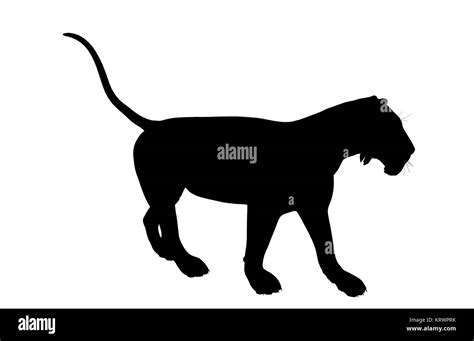 Black lion art illustration silhouette on a white background Stock ...