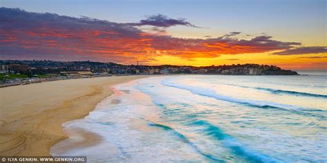 Amazing Sunrise Above Bondi Beach Print, Photos | Fine Art Landscape Photography | Ilya Genkin