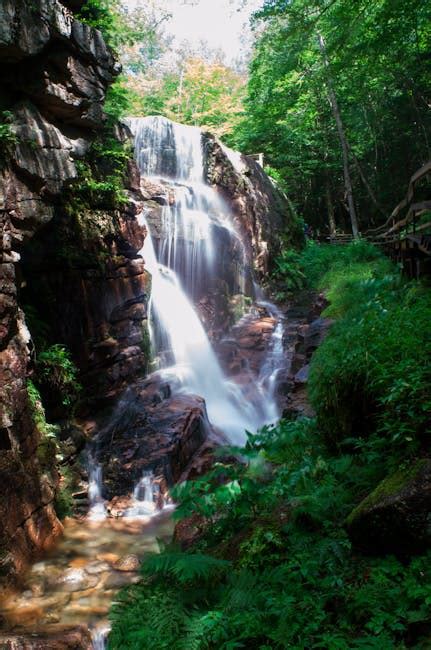 Scenic View of Waterfall in Forest · Free Stock Photo