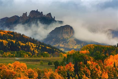 Download Fog Fall Tree Forest Nature Mountain HD Wallpaper