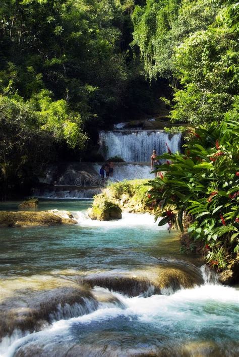 Jamaica waterfalls stock image. Image of cascade, waterfall - 4952063