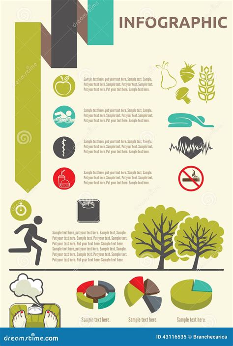 Healthy Lifestyle Infographic Stock Vector - Image: 43116535