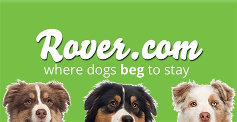 Rover Dog Sitting Services - Pet Sitting Services - We connect the dots