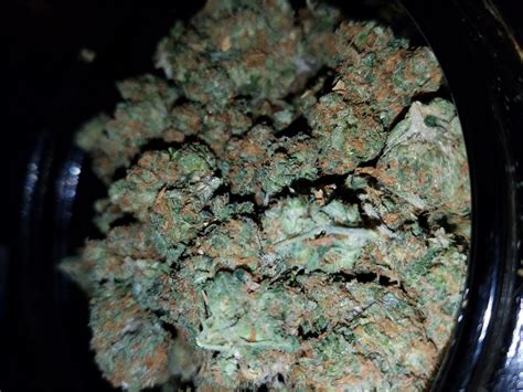 Scooby Snacks Weed Strain Information | Leafly